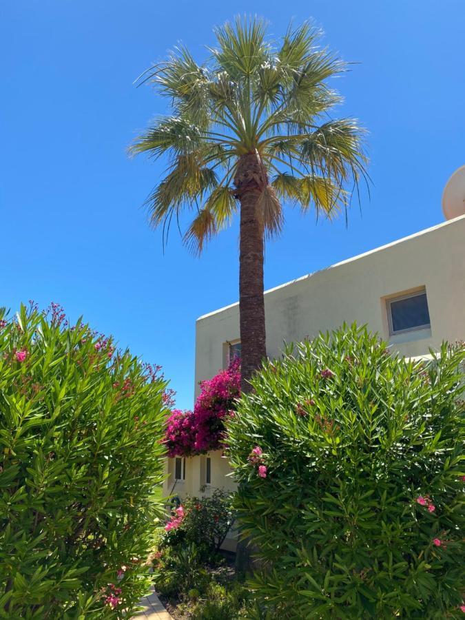Casa Sacha Villa Carvoeiro  Eksteriør billede
